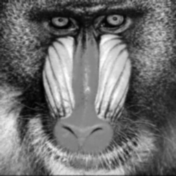img-monkey-blured-default.png
