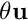 $ \theta {\bf u}$