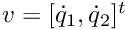 $ v = [\dot{q}_1, \dot{q}_2]^t $