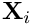 $\mathbf{X}_i$